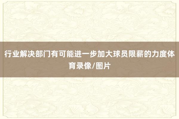 行业解决部门有可能进一步加大球员限薪的力度体育录像/图片