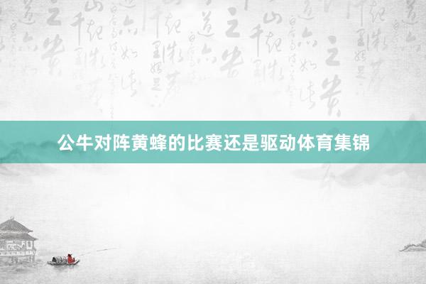 公牛对阵黄蜂的比赛还是驱动体育集锦