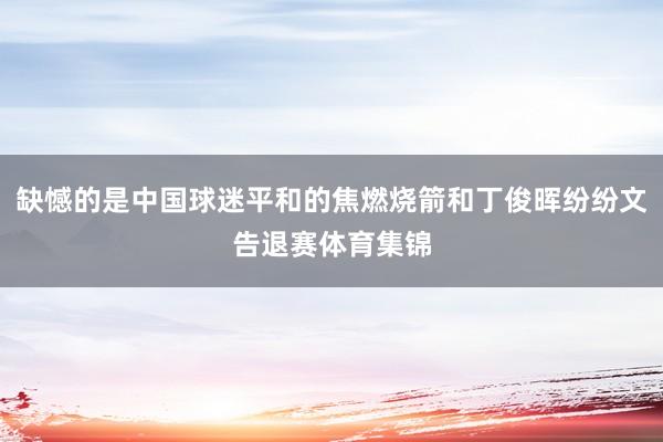 缺憾的是中国球迷平和的焦燃烧箭和丁俊晖纷纷文告退赛体育集锦