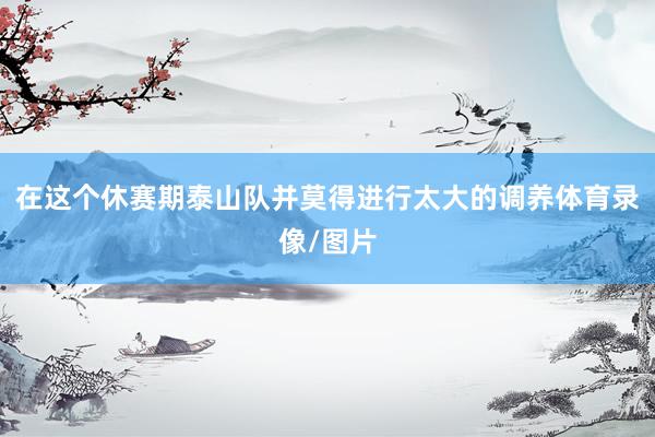 在这个休赛期泰山队并莫得进行太大的调养体育录像/图片