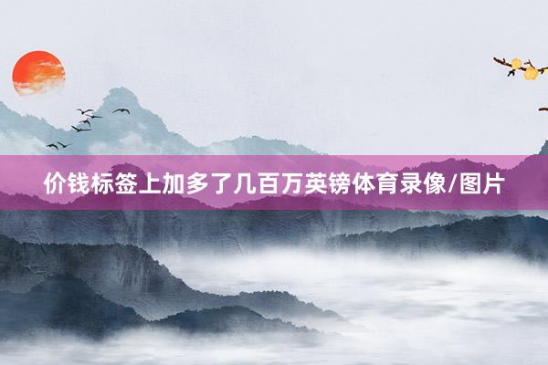 价钱标签上加多了几百万英镑体育录像/图片