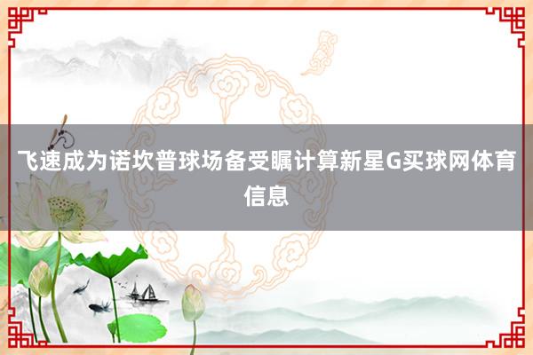 飞速成为诺坎普球场备受瞩计算新星G买球网体育信息