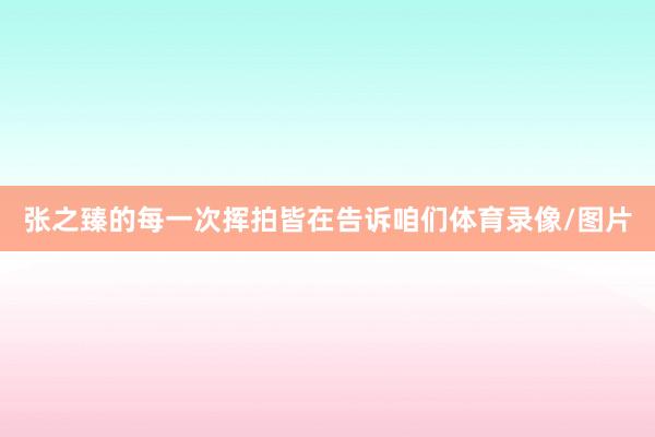 张之臻的每一次挥拍皆在告诉咱们体育录像/图片
