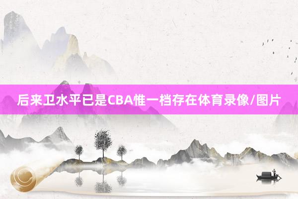 后来卫水平已是CBA惟一档存在体育录像/图片