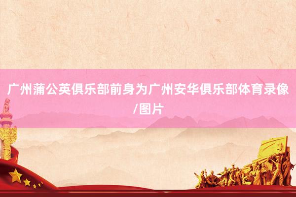 广州蒲公英俱乐部前身为广州安华俱乐部体育录像/图片