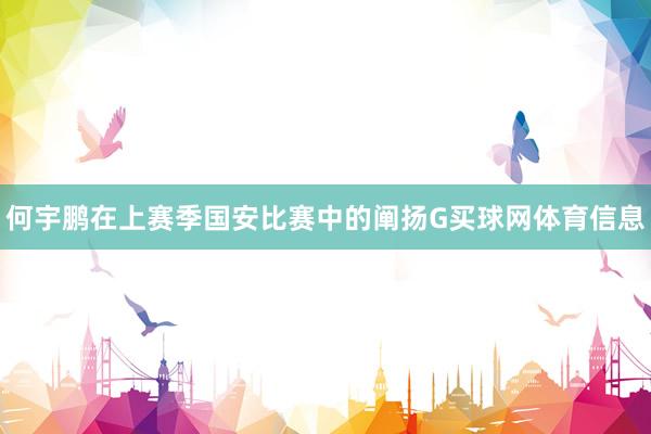 何宇鹏在上赛季国安比赛中的阐扬G买球网体育信息