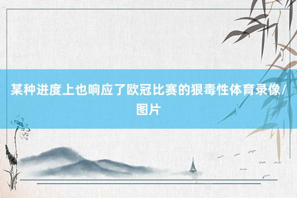 某种进度上也响应了欧冠比赛的狠毒性体育录像/图片