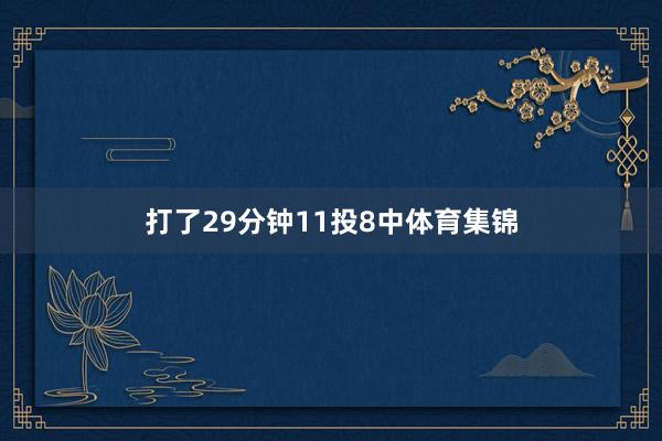 打了29分钟11投8中体育集锦