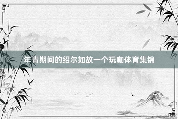 年青期间的绍尔如故一个玩咖体育集锦