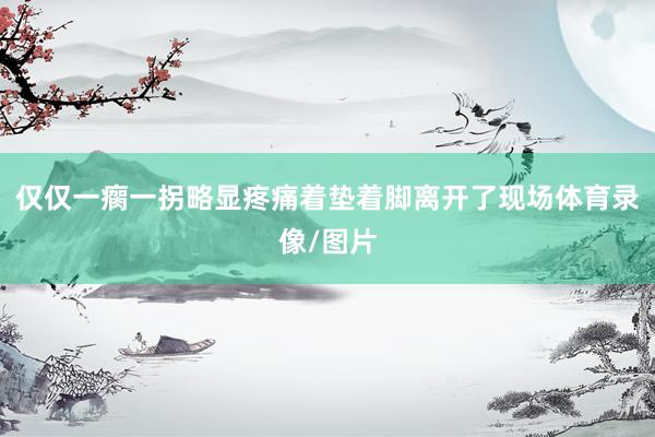 仅仅一瘸一拐略显疼痛着垫着脚离开了现场体育录像/图片