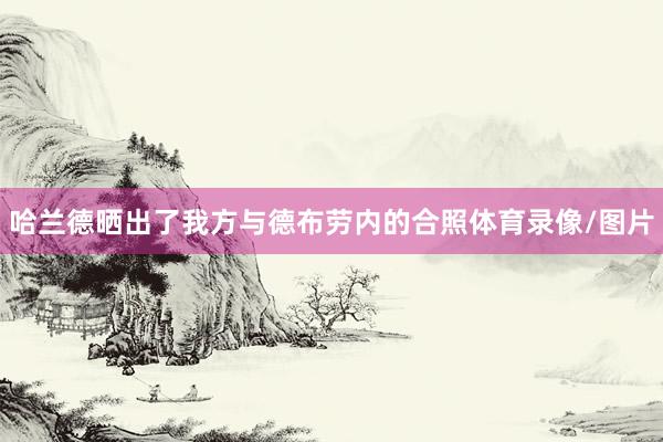 哈兰德晒出了我方与德布劳内的合照体育录像/图片