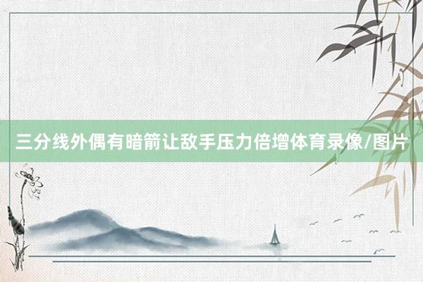 三分线外偶有暗箭让敌手压力倍增体育录像/图片
