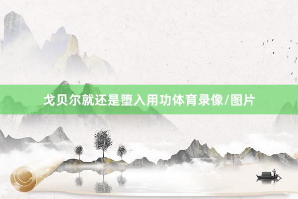 戈贝尔就还是堕入用功体育录像/图片