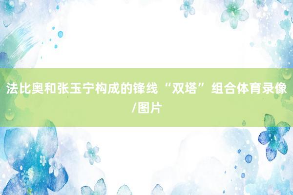 法比奥和张玉宁构成的锋线 “双塔” 组合体育录像/图片