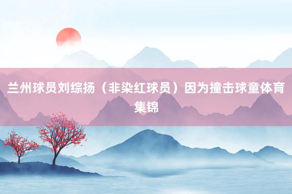 兰州球员刘综扬(非染红球员)因为撞击球童体育集锦