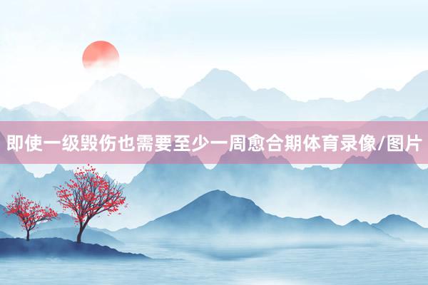 即使一级毁伤也需要至少一周愈合期体育录像/图片