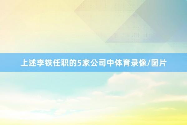 上述李铁任职的5家公司中体育录像/图片