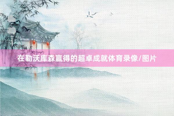 在勒沃库森赢得的超卓成就体育录像/图片