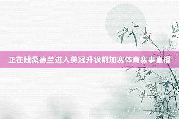 正在随桑德兰进入英冠升级附加赛体育赛事直播