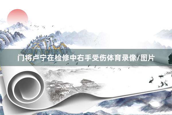 门将卢宁在检修中右手受伤体育录像/图片