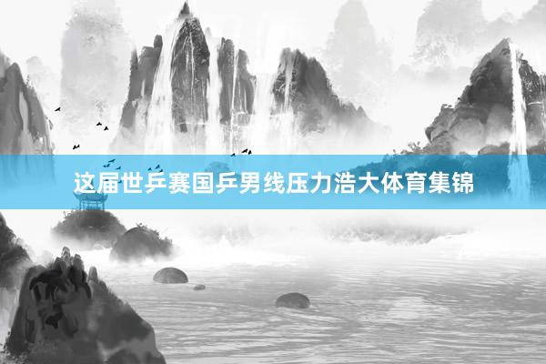 这届世乒赛国乒男线压力浩大体育集锦