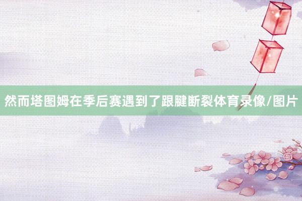 然而塔图姆在季后赛遇到了跟腱断裂体育录像/图片