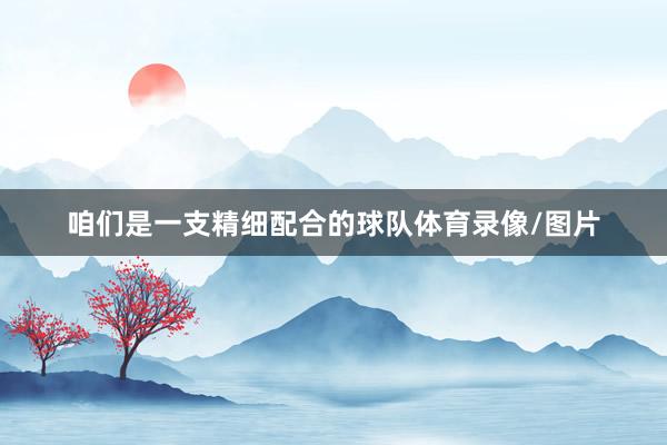 咱们是一支精细配合的球队体育录像/图片