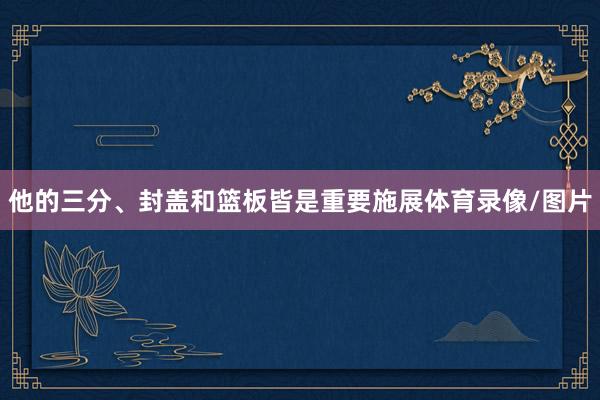 他的三分、封盖和篮板皆是重要施展体育录像/图片