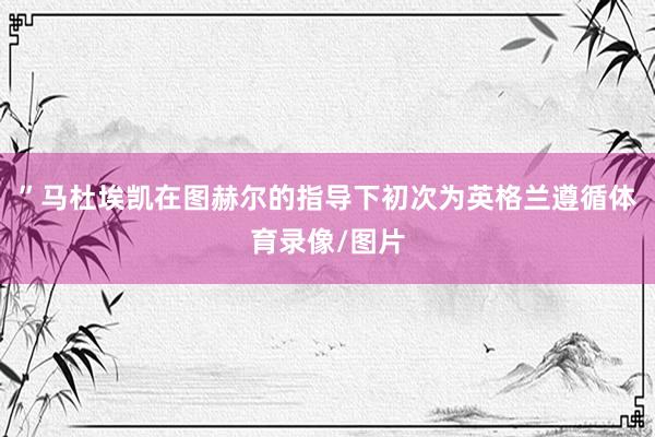 ”马杜埃凯在图赫尔的指导下初次为英格兰遵循体育录像/图片