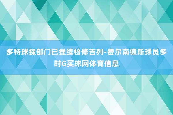 多特球探部门已捏续检修吉列-费尔南德斯球员多时G买球网体育信息