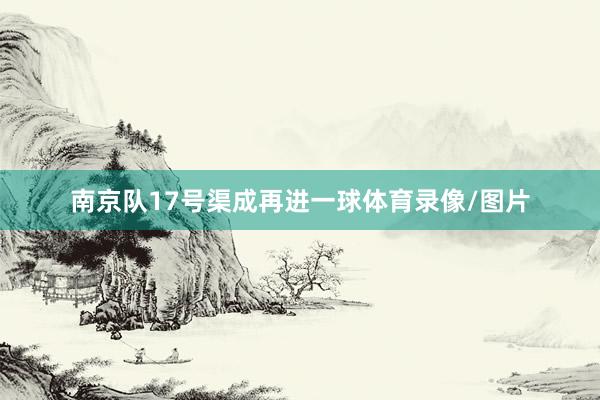 南京队17号渠成再进一球体育录像/图片