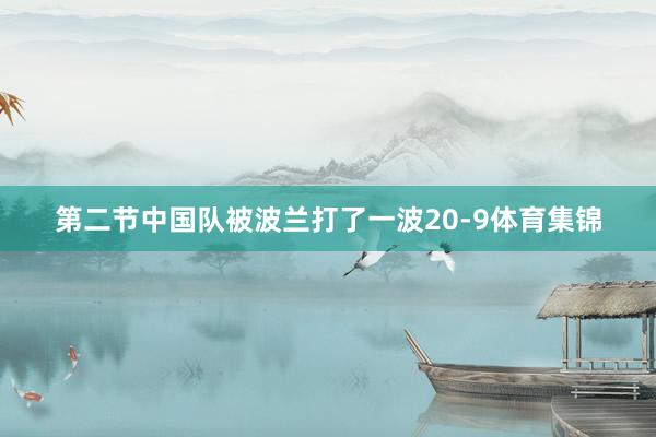 第二节中国队被波兰打了一波20-9体育集锦