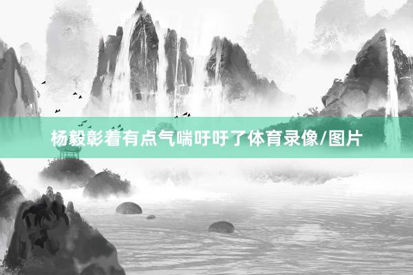 杨毅彰着有点气喘吁吁了体育录像/图片