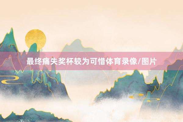 最终痛失奖杯较为可惜体育录像/图片