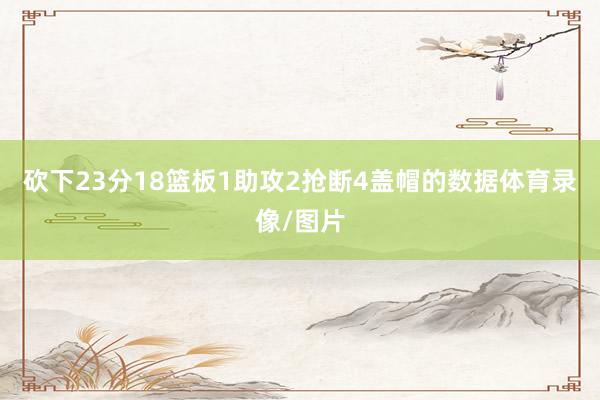 砍下23分18篮板1助攻2抢断4盖帽的数据体育录像/图片