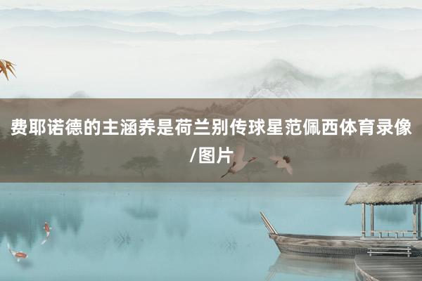 费耶诺德的主涵养是荷兰别传球星范佩西体育录像/图片