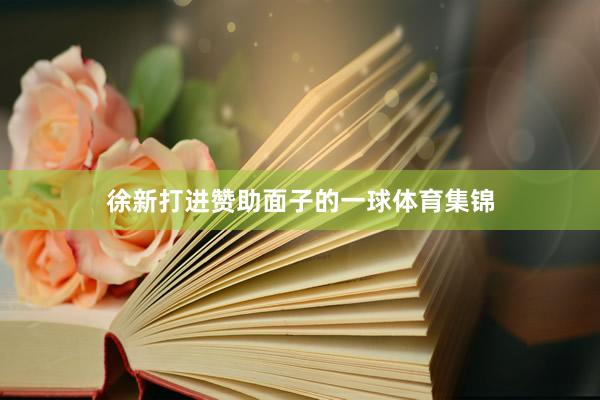 徐新打进赞助面子的一球体育集锦