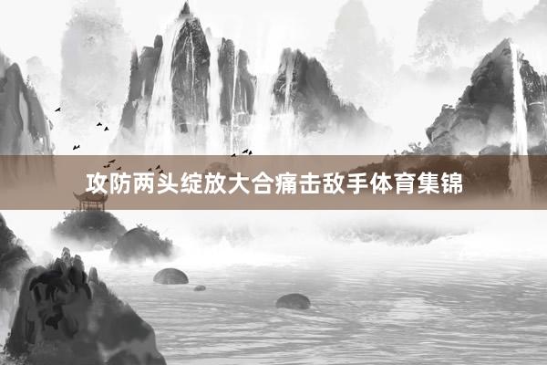 攻防两头绽放大合痛击敌手体育集锦
