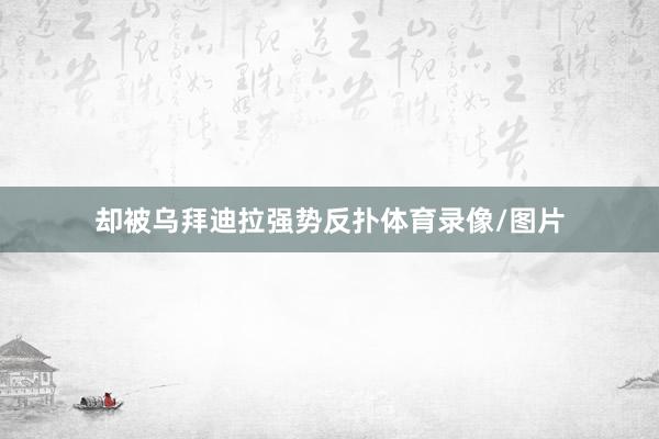 却被乌拜迪拉强势反扑体育录像/图片