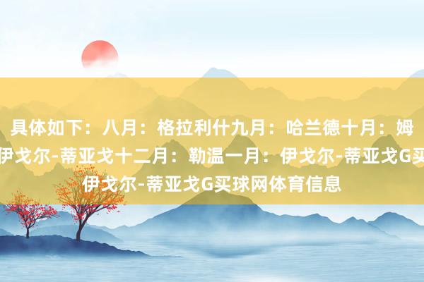 具体如下：八月：格拉利什九月：哈兰德十月：姆伯莫十一月：伊戈尔-蒂亚戈十二月：勒温一月：伊戈尔-蒂亚戈G买球网体育信息