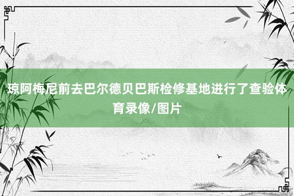 琼阿梅尼前去巴尔德贝巴斯检修基地进行了查验体育录像/图片