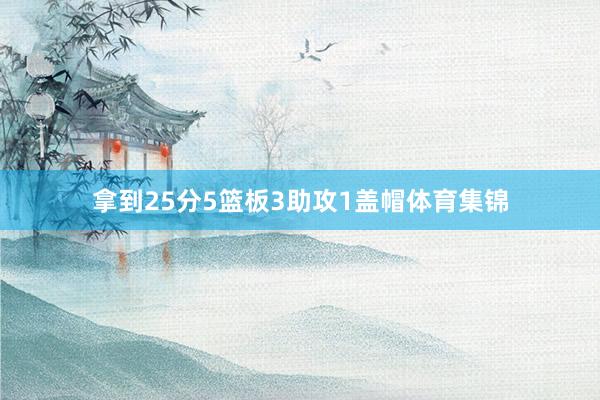 拿到25分5篮板3助攻1盖帽体育集锦