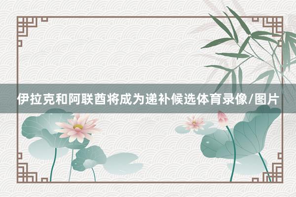 伊拉克和阿联酋将成为递补候选体育录像/图片