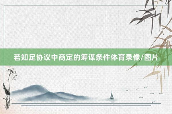 若知足协议中商定的筹谋条件体育录像/图片