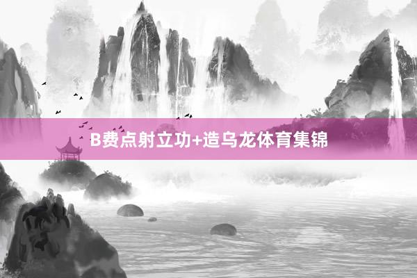 B费点射立功+造乌龙体育集锦