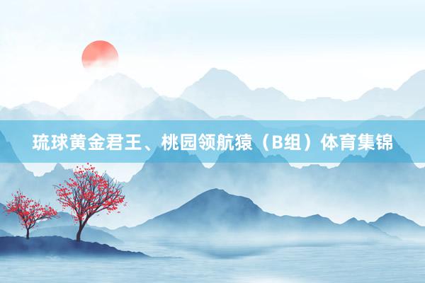 琉球黄金君王、桃园领航猿（B组）体育集锦