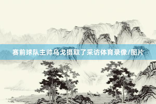 赛前球队主帅乌戈摄取了采访体育录像/图片