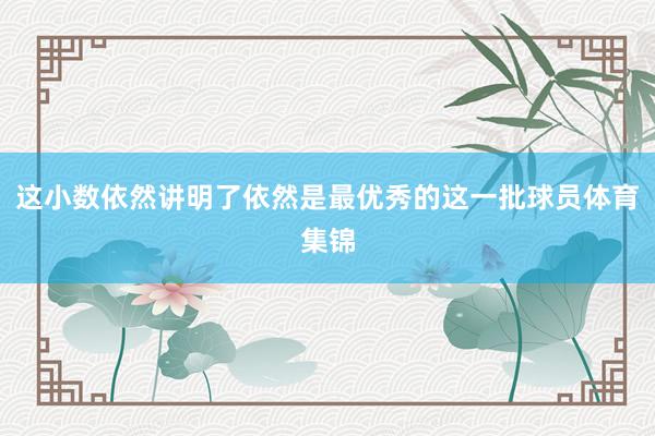这小数依然讲明了依然是最优秀的这一批球员体育集锦