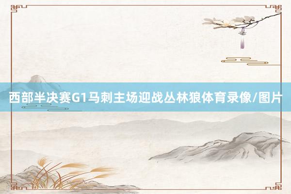 西部半决赛G1马刺主场迎战丛林狼体育录像/图片