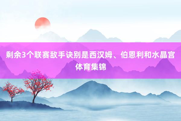 剩余3个联赛敌手诀别是西汉姆、伯恩利和水晶宫体育集锦